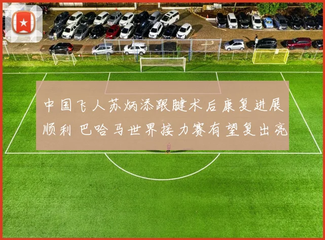中国飞人苏炳添跟腱术后康复进展顺利 巴哈马世界接力赛有望复出亮相